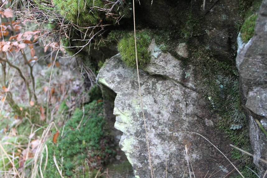 Dezembertag an der Talsperre Neustadt