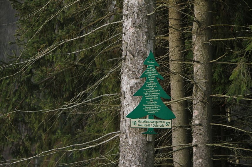 Dezembertag an der Talsperre Neustadt