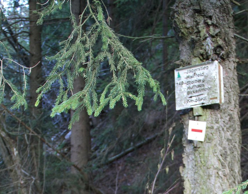Dezembertag an der Talsperre Neustadt