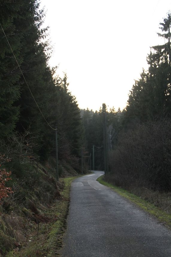 Dezembertag an der Talsperre Neustadt