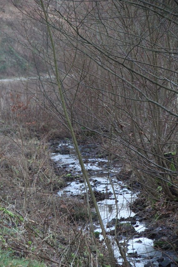 Dezembertag an der Talsperre Neustadt