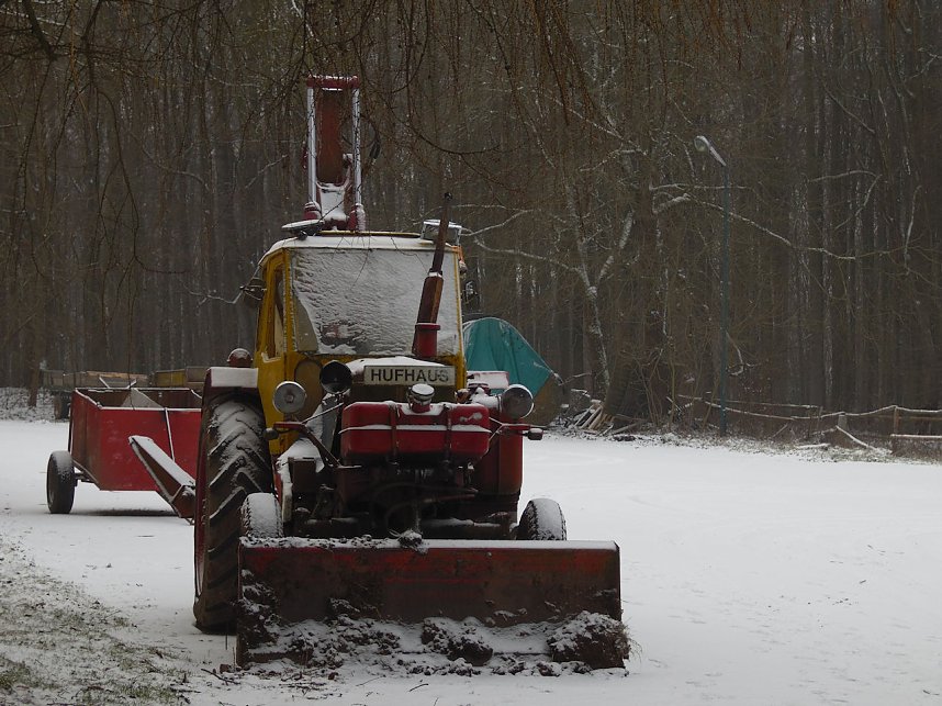 Zu Besuch am Hufhaus