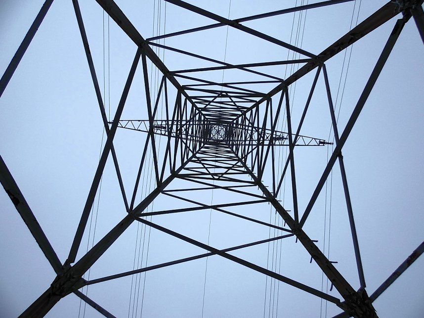 Zu Besuch am Hufhaus