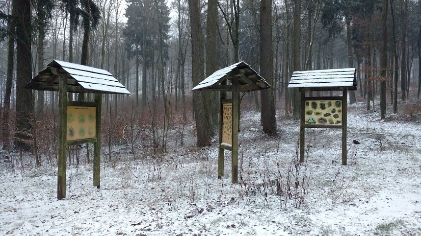 Zu Besuch am Hufhaus