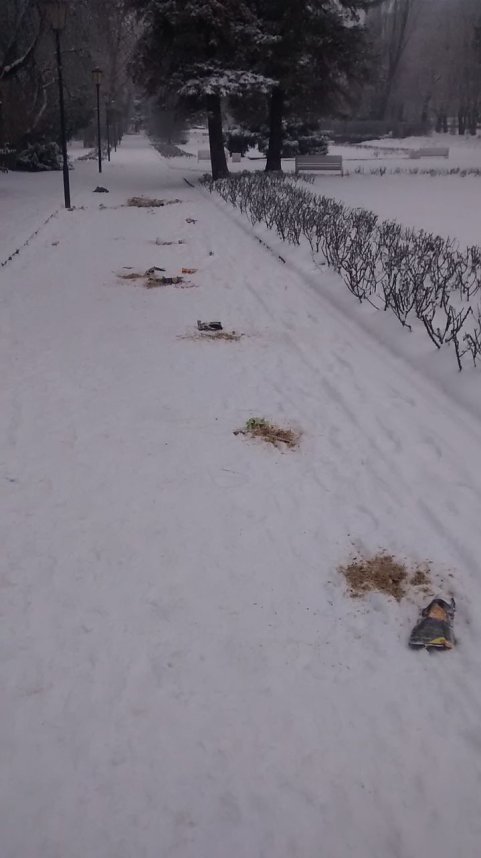 Pers&ouml;nliche M&uuml;llkippe Rosengarten?