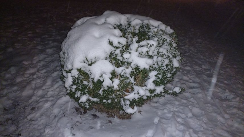 Unterwegs in Nordhausen