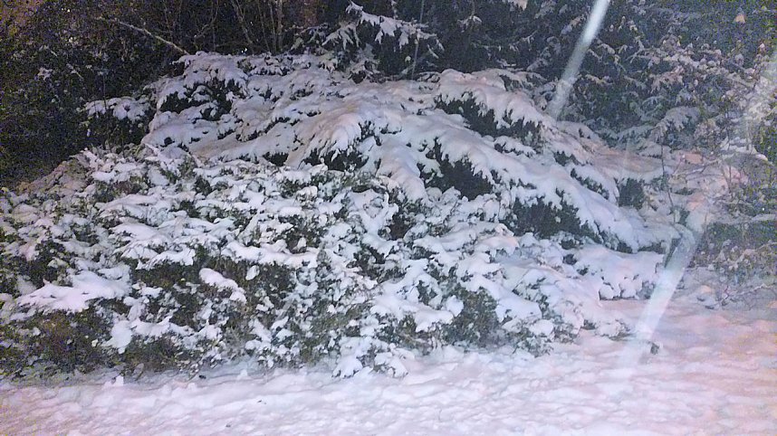 Unterwegs in Nordhausen