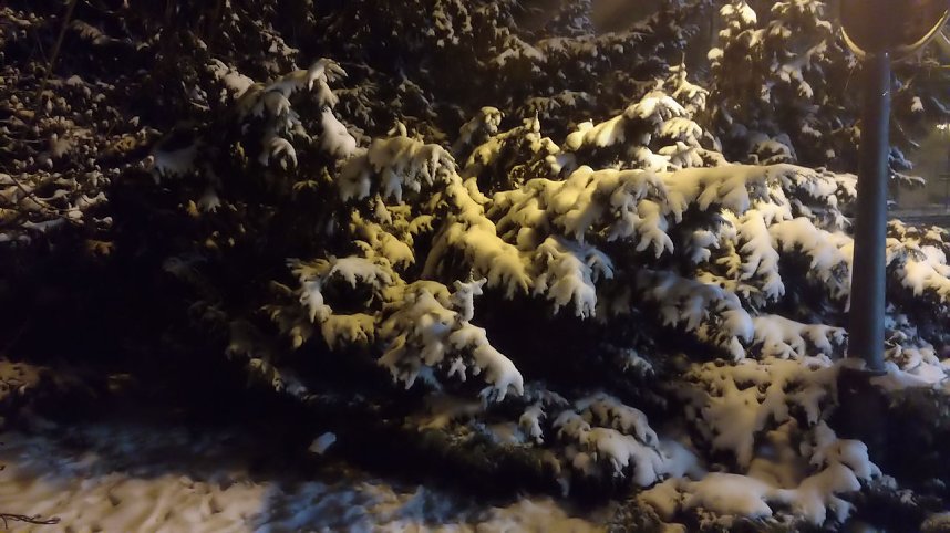 Unterwegs in Nordhausen