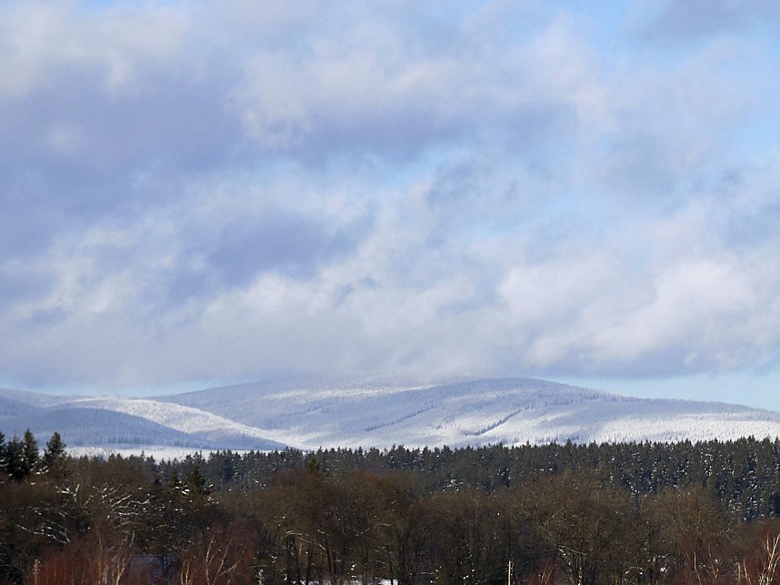 Eine Waldschneise bei Benneckenstein
