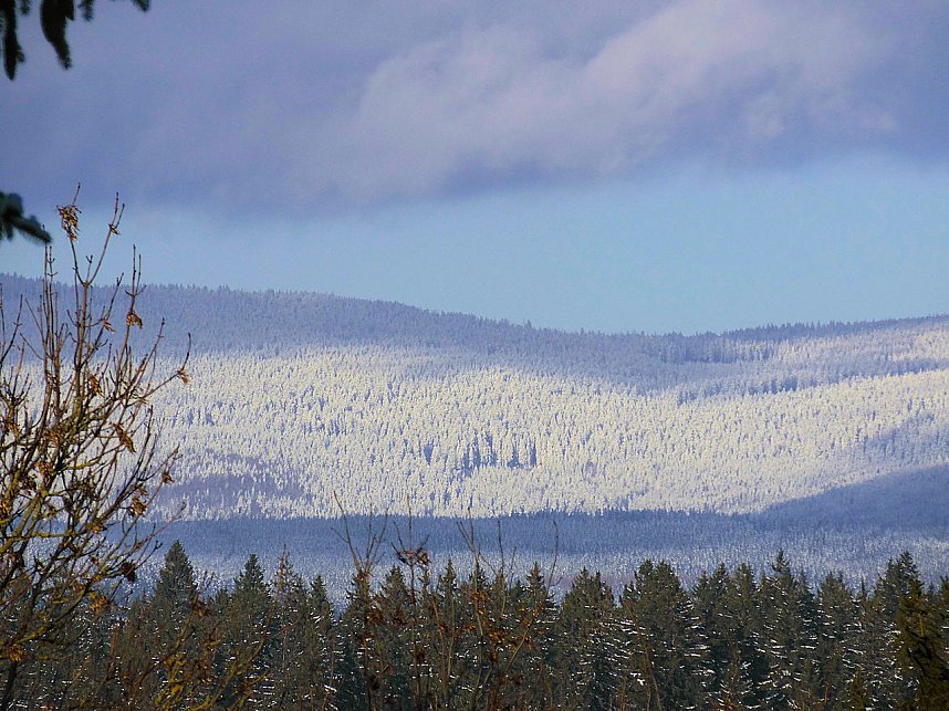 Eine Waldschneise bei Benneckenstein