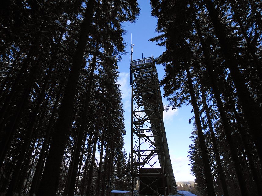 Eine Waldschneise bei Benneckenstein