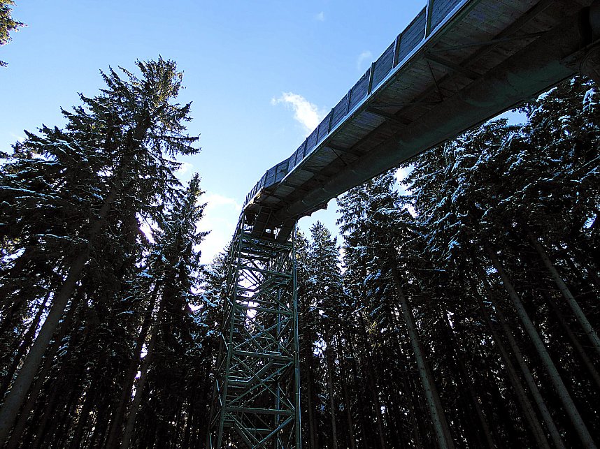 Eine Waldschneise bei Benneckenstein