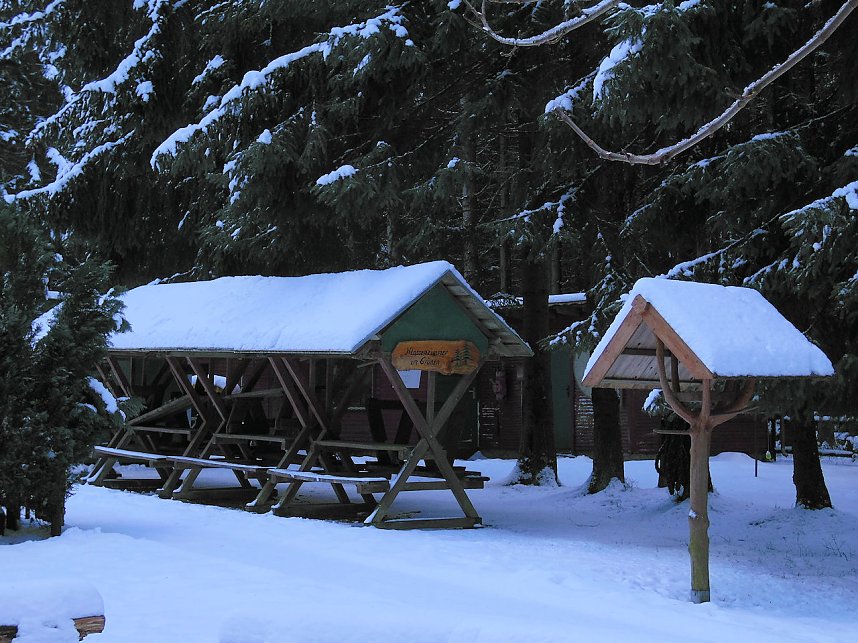 Eine Waldschneise bei Benneckenstein