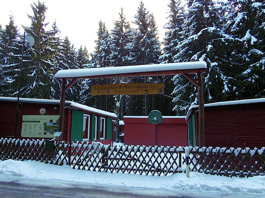Eine Waldschneise bei Benneckenstein