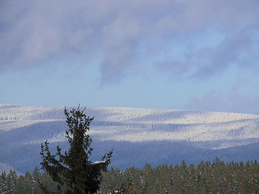 Eine Waldschneise bei Benneckenstein