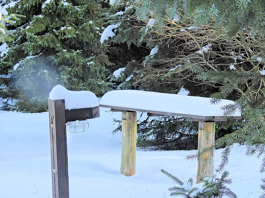Eine Waldschneise bei Benneckenstein