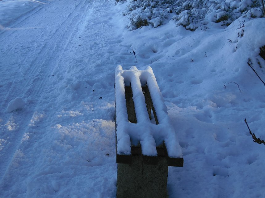 Eine Waldschneise bei Benneckenstein