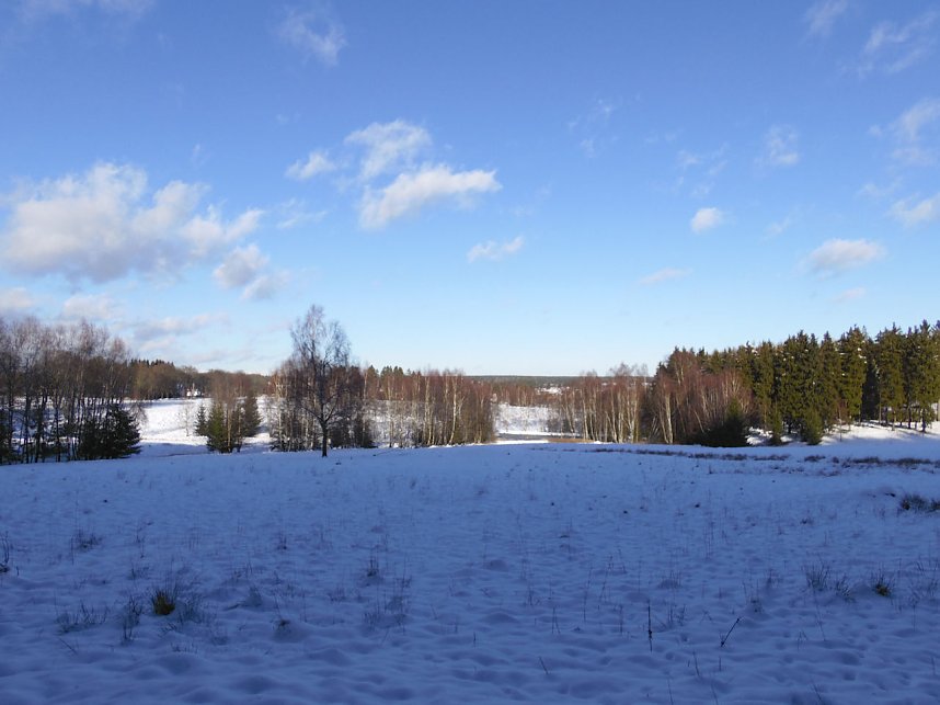 Eine Waldschneise bei Benneckenstein