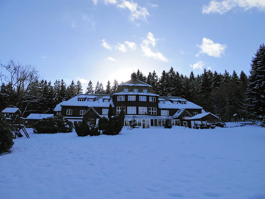 Eine Waldschneise bei Benneckenstein