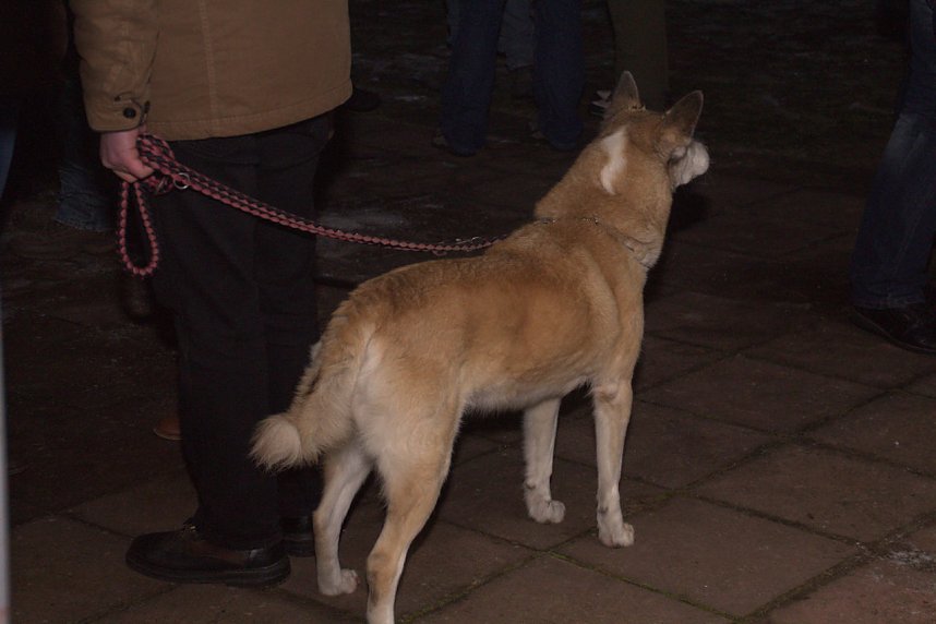 Knutfest in Heringen