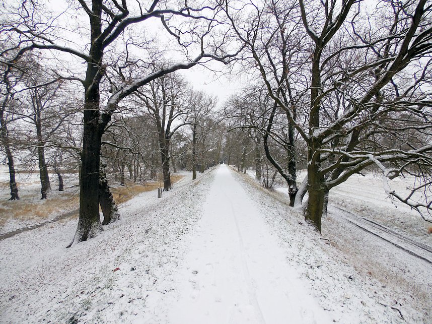Peter Blei zu Besuch im W&ouml;rlitzer Park