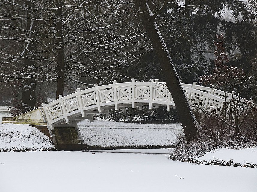 Peter Blei zu Besuch im W&ouml;rlitzer Park