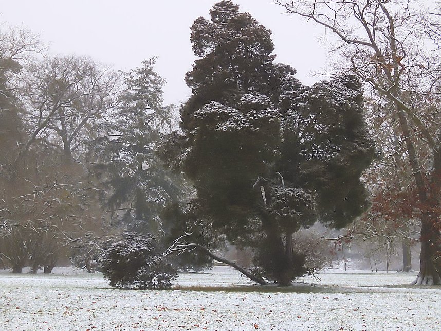 Peter Blei zu Besuch im W&ouml;rlitzer Park