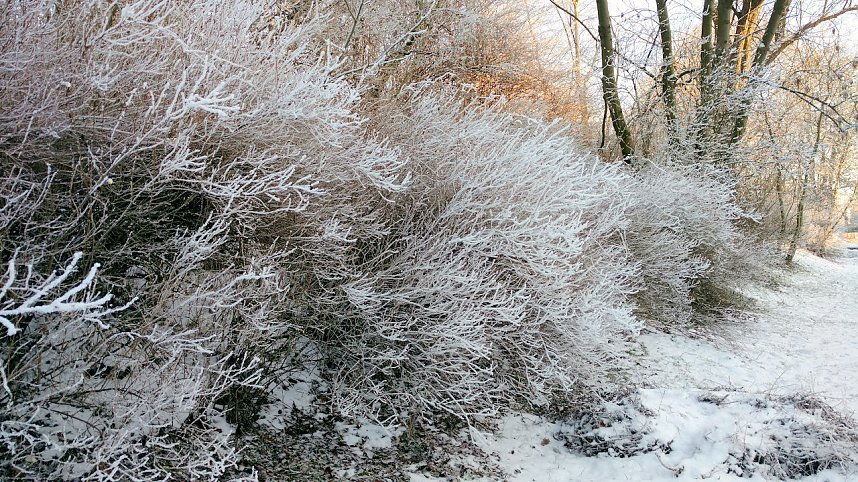 Seltenes Wetterph&auml;nomen