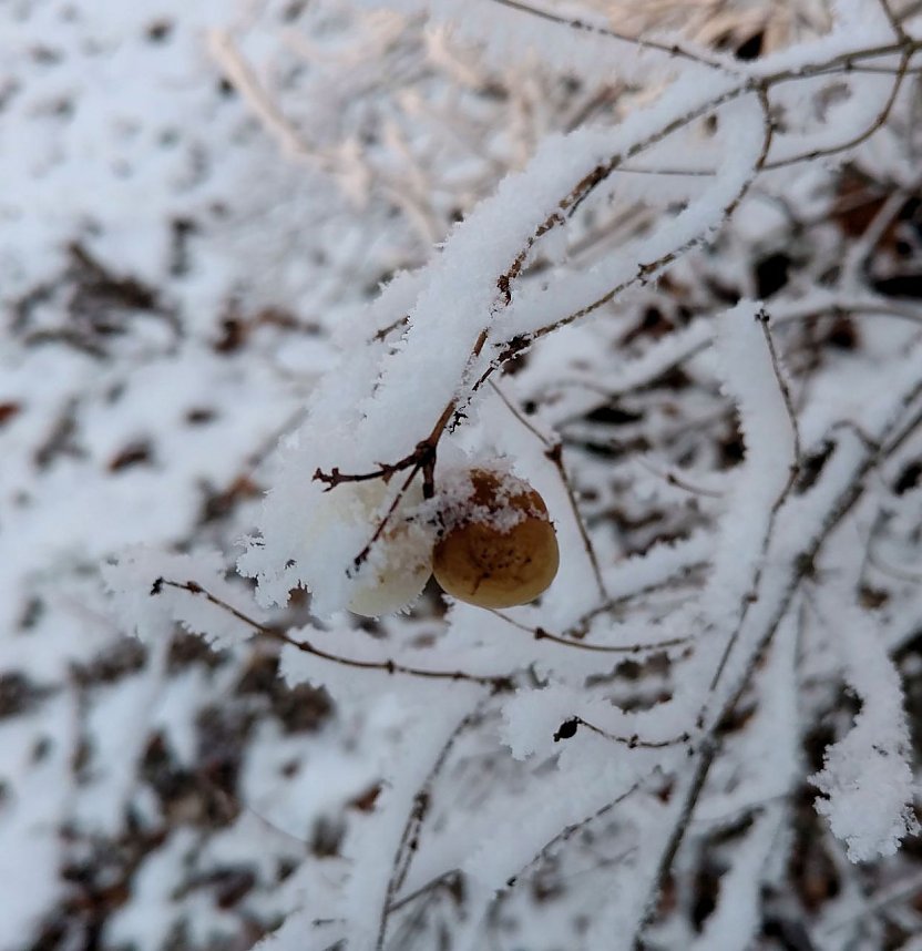 Seltenes Wetterph&auml;nomen
