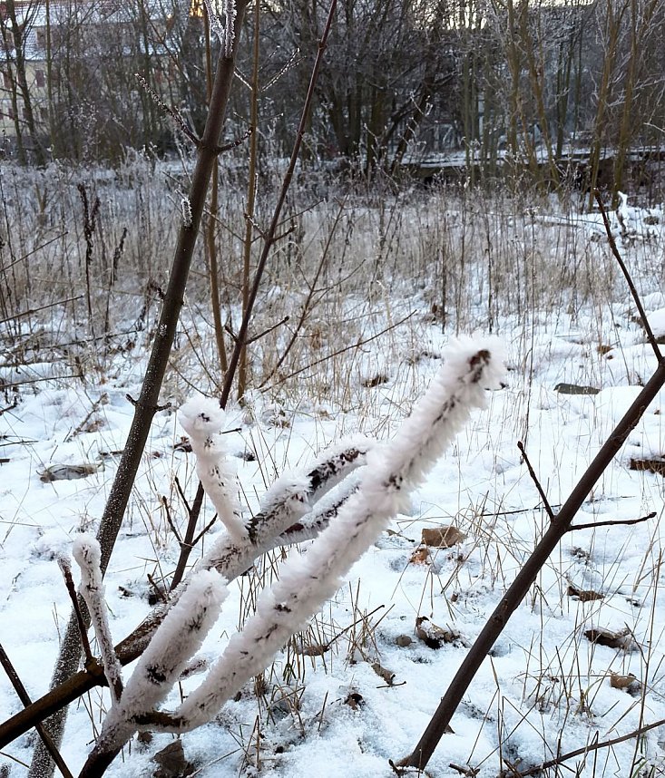 Seltenes Wetterph&auml;nomen