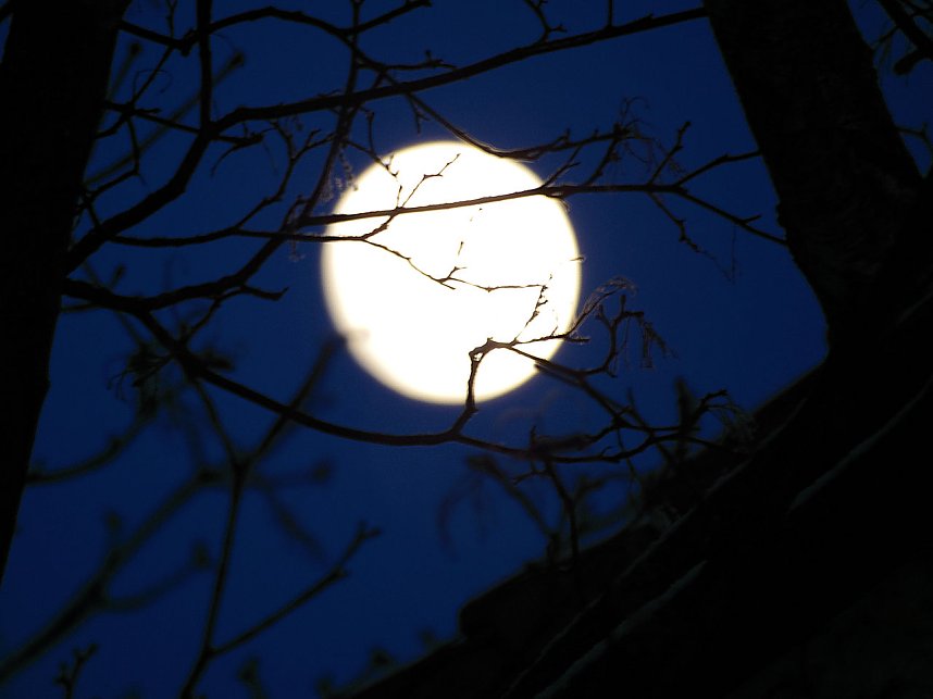 Seltenes Wetterph&auml;nomen