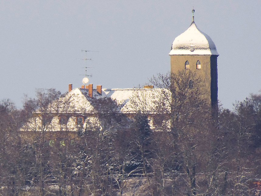 Tiere und Landschaft am Goitzschesee