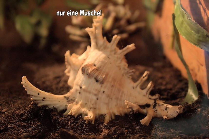 Exoten in einer Ausstellung