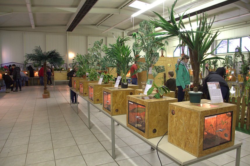 Exoten in einer Ausstellung
