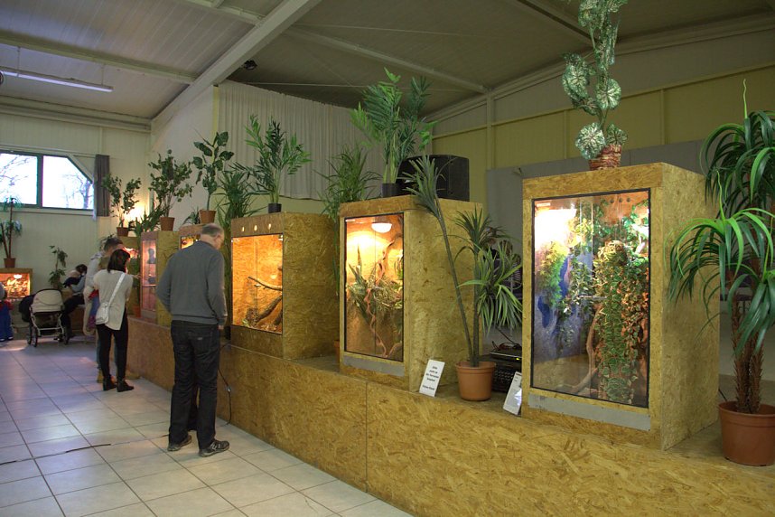 Exoten in einer Ausstellung