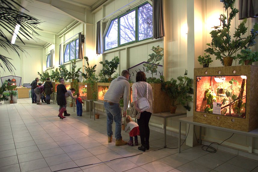 Exoten in einer Ausstellung