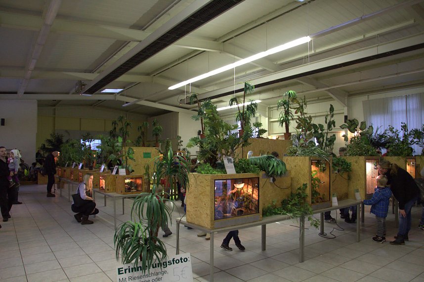 Exoten in einer Ausstellung