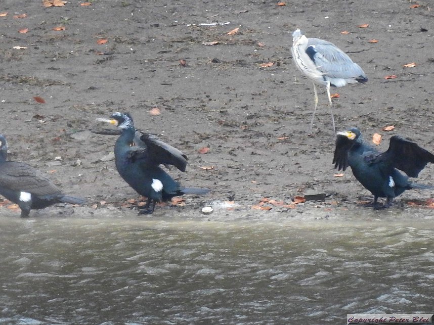 Peter Blei unterwegs: die Wendefurth Talsperre