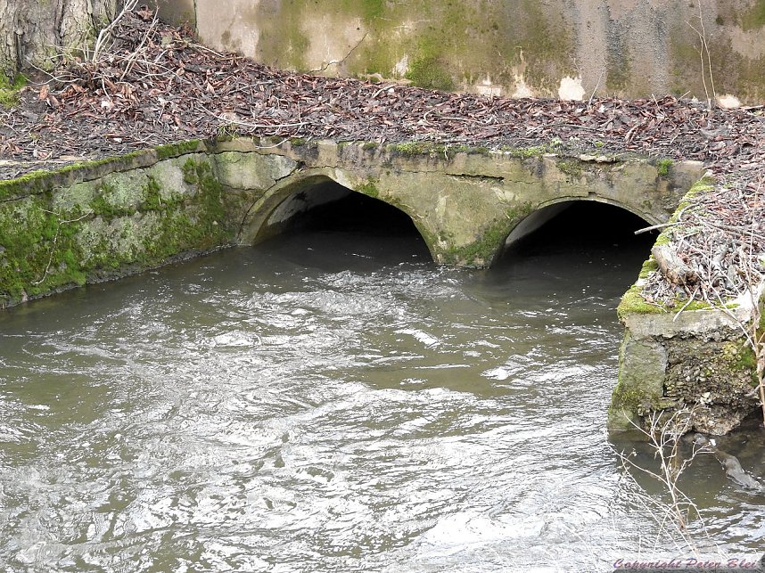 Pegel sind gestiegen