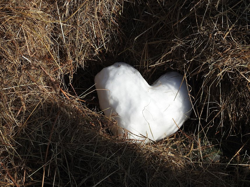 Winterm&auml;rchen in Elbingerode