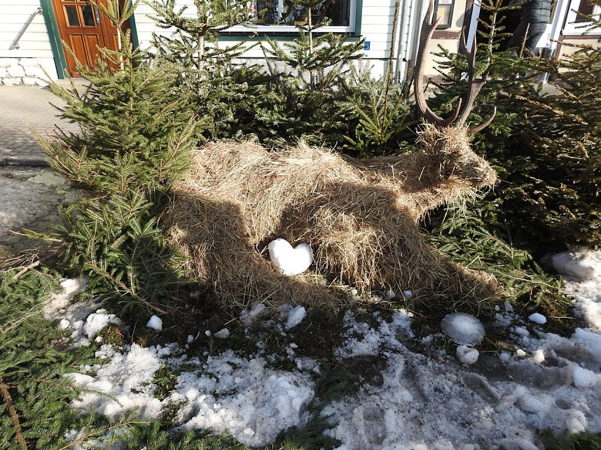Winterm&auml;rchen in Elbingerode
