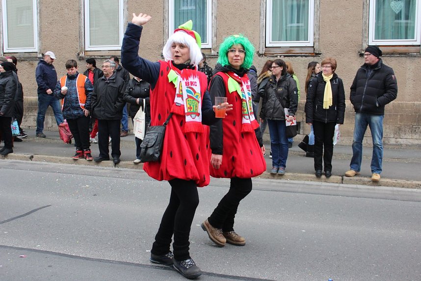 N&auml;rrinnen und Narren trotzen Wetter (1)