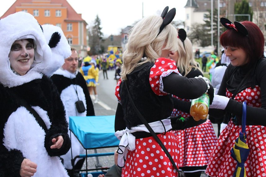 N&auml;rrinnen und Narren trotzen Wetter (2)