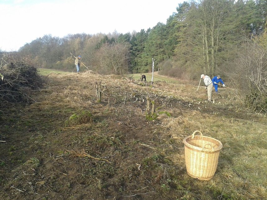 Arbeitseinsatz des Nordh&auml;user BUND