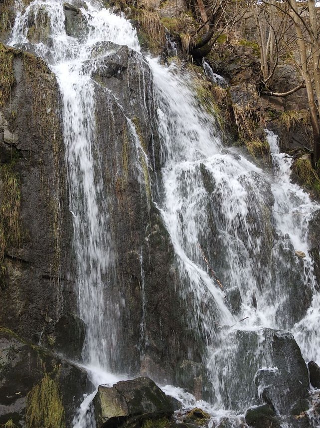 Peter Blei unterwegs: Bei Elbingerode