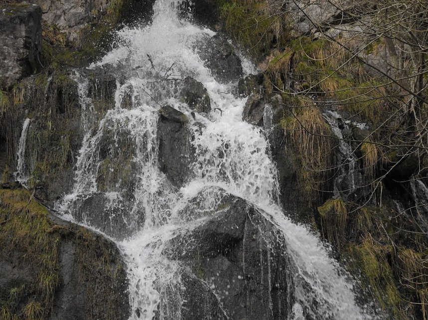 Peter Blei unterwegs: Bei Elbingerode