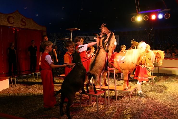 Zirkusluft in Ellrich