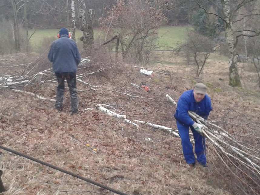 Viel zu tun - der BUND war am Wochenende wieder in der R&uuml;digsdorfer Schweiz im Einsatz