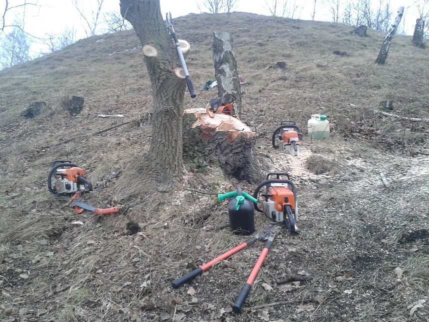 Viel zu tun - der BUND war am Wochenende wieder in der R&uuml;digsdorfer Schweiz im Einsatz