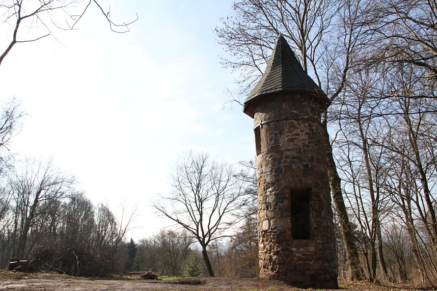 Der Fr&uuml;hling kommt - im Park Hohenrode ist er schon ein bisschen da